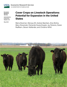 This is the cover image for the Cover Crops on Livestock Operations: Potential for Expansion in the United States report.
